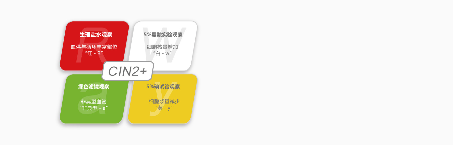 R-way® 新壹代陰道鏡診斷智能評估系統